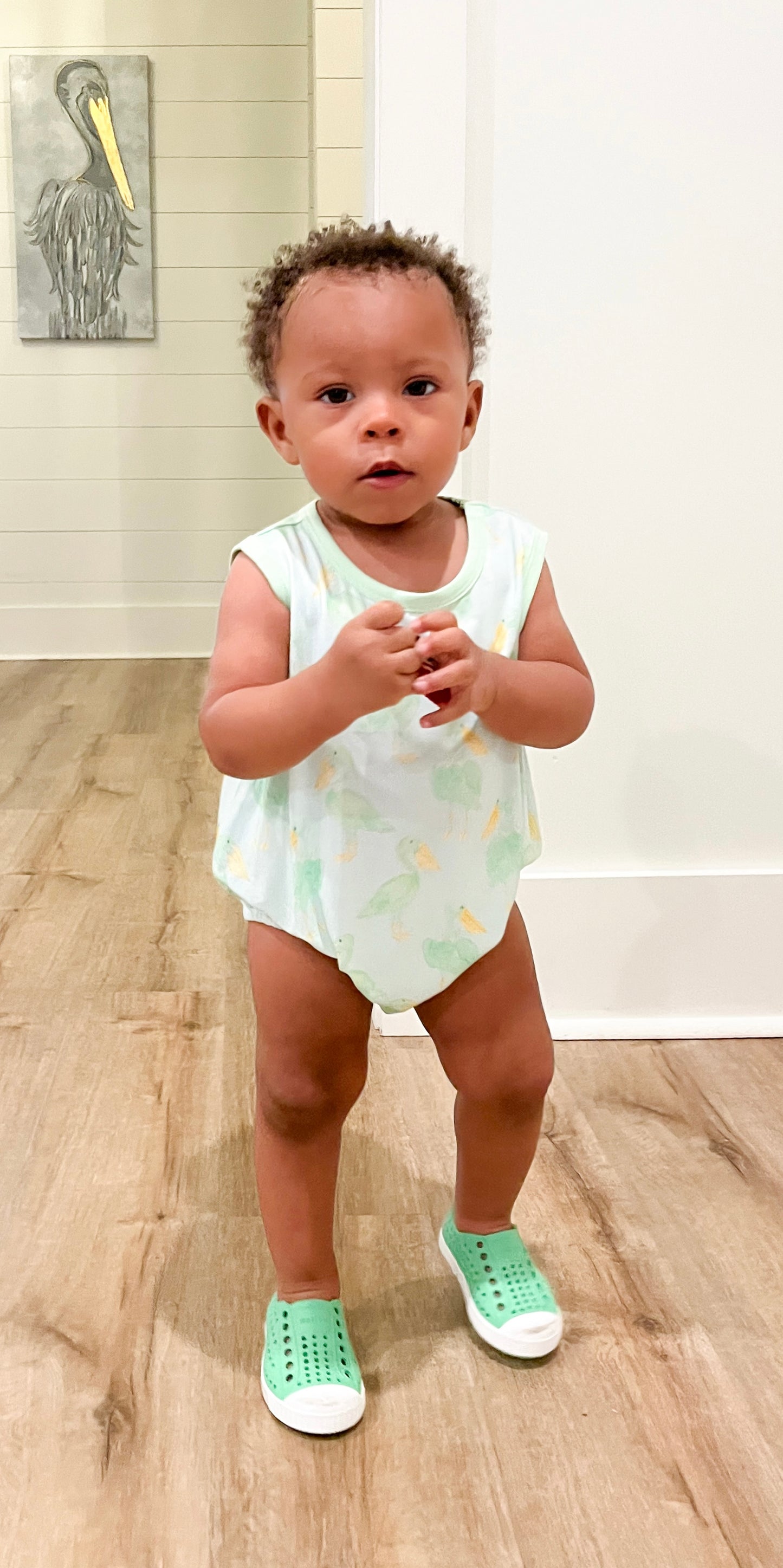 Mint Pelican Bubble Romper